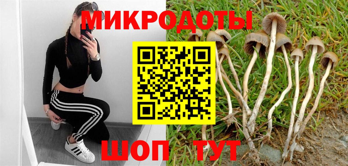 Псилоцибиновые грибы ЛСД  Вход с VPN  Кудрово 